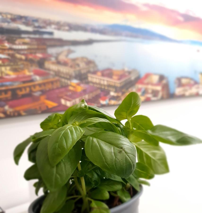 Gaisa Naples - Bed And Breakfast Екстер'єр фото